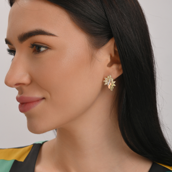 Серебряные серьги с золотыми вставками (170с2)