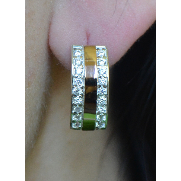 Срібні сережкі з золотими накладками (002с)