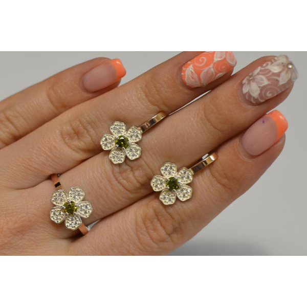 Набір срібний з золотими пластинами (094)