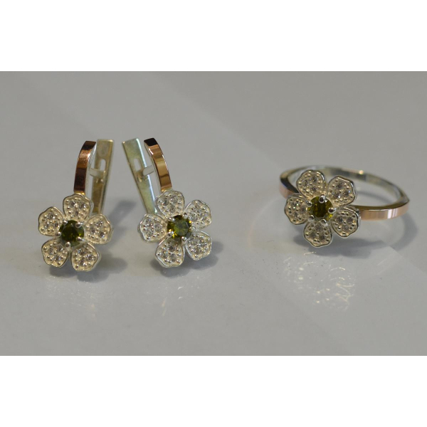 Набір срібний з золотими пластинами (094)