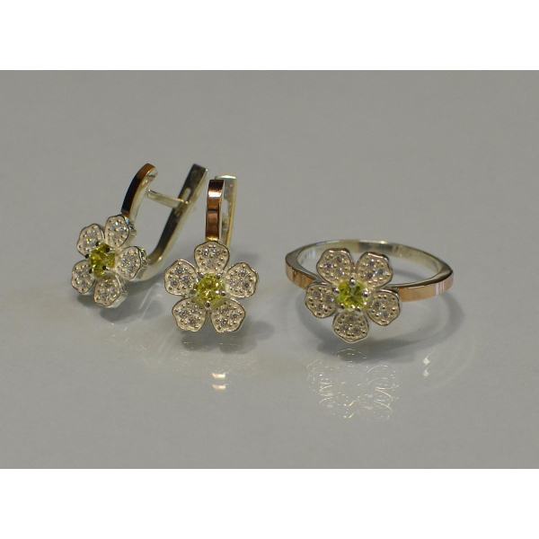 Набір срібний з золотими пластинами (094)