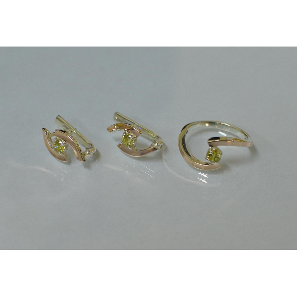 Серебряный гарнитур (113)