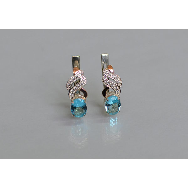 Срібні сережки (117с)