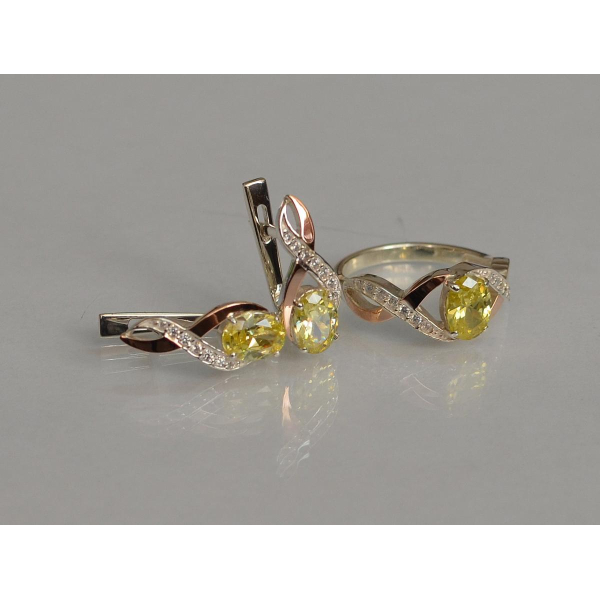 Серебряный набор с золотыми пластинами143 (143)