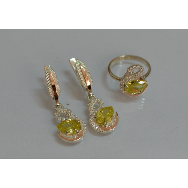 Серебряный набор с золотыми пластинами (160)