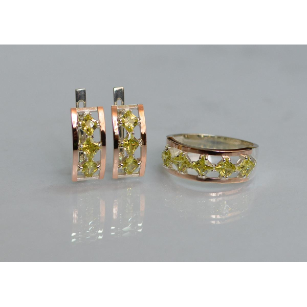 Серебряный набор с золотыми пластинами (162)