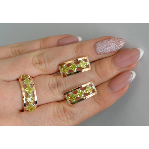 Серебряный набор с золотыми пластинами (162)