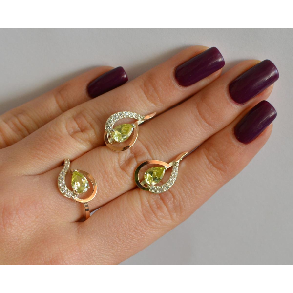 Серебряный набор с золотыми пластинами (164)