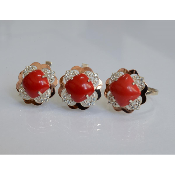 Серебряный набор с золотыми пластинами (165)