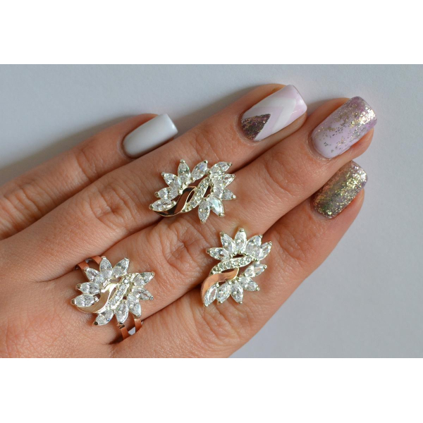 Серебряный набор с золотыми пластинами (170/2)