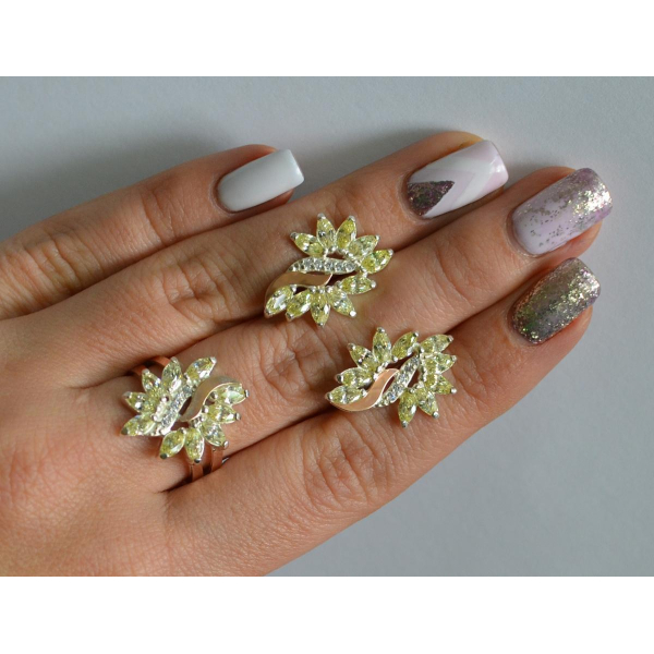 Серебряный набор с золотыми пластинами (170/2)