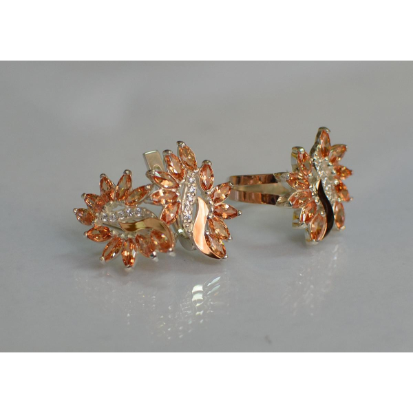 Серебряный набор с золотыми пластинами (170/2)