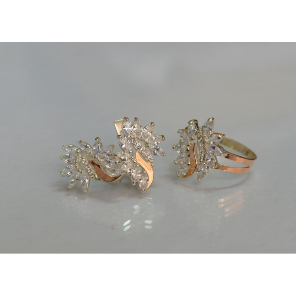 Серебряный набор с золотыми пластинами (170/2)