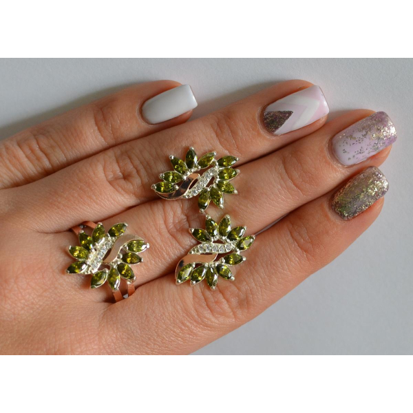 Серебряный набор с золотыми пластинами (170/2)