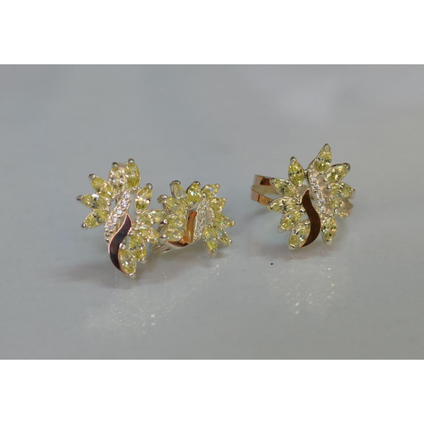 Серебряный набор с золотыми пластинами (170/2)