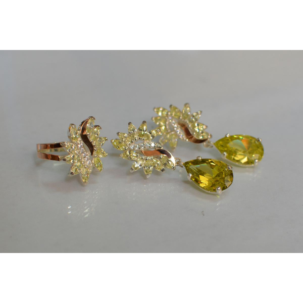 Набор серебряный  с золотыми пластинами (170)