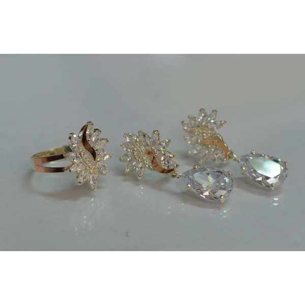 Набор серебряный  с золотыми пластинами (170)