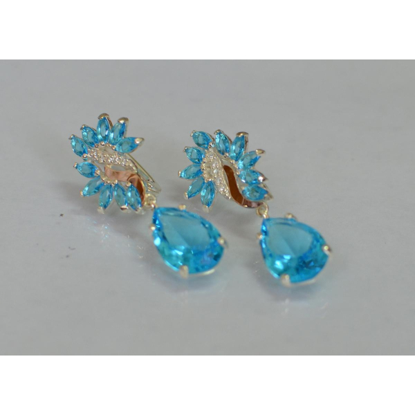 Серебряные серьги с золотыми вставками (170с)