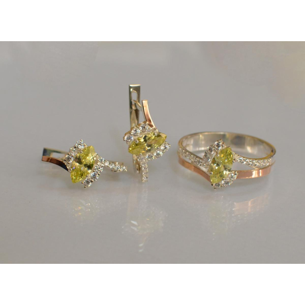 Серебряный набор с золотыми пластинами (171)