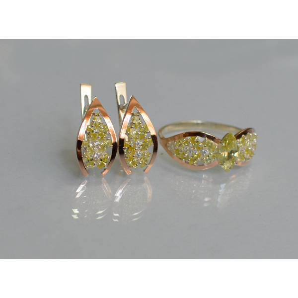 Серебряный набор с золотыми пластинами (172/2)