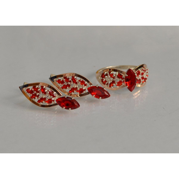 Серебряный набор с золотыми пластинами (172)