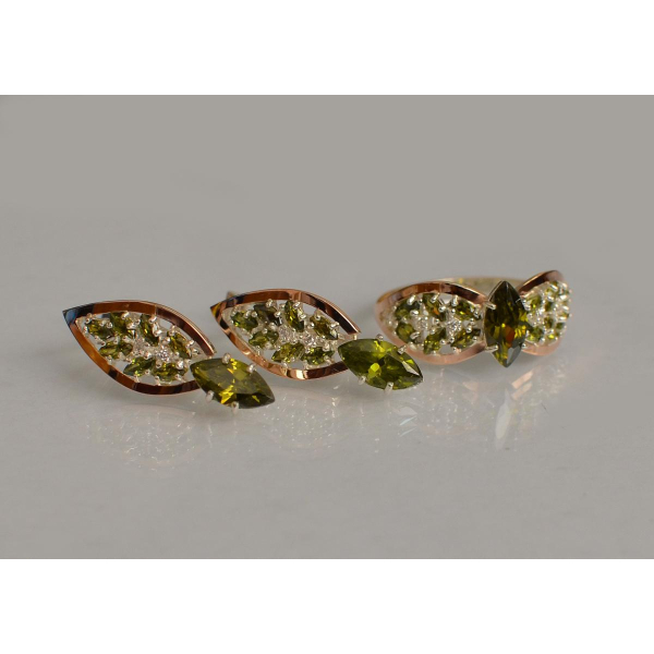 Серебряный набор с золотыми пластинами (172)