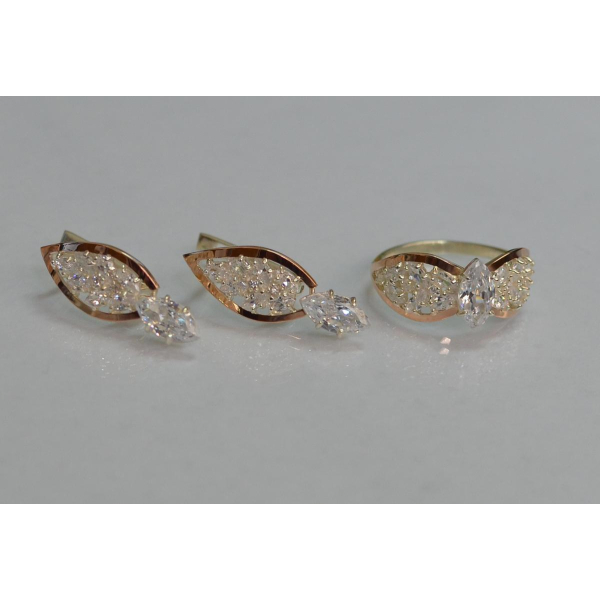 Серебряный набор с золотыми пластинами (172)