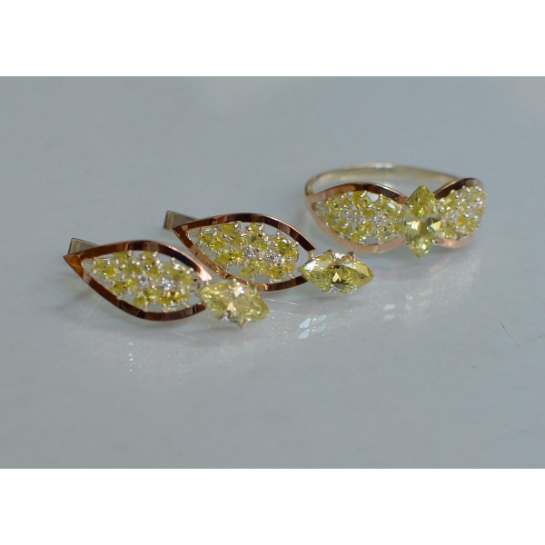 Серебряный набор с золотыми пластинами (172)