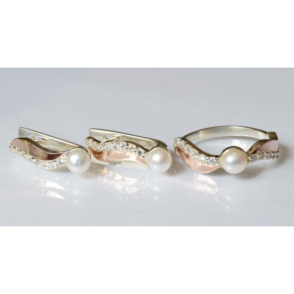 Серебряный набор с золотыми пластинами (182)