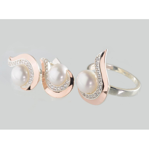 Серебряный набор с золотыми пластинами (234)