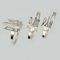 Серебряный набор с золотыми пластинами