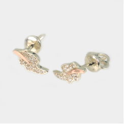 Сережки гвоздики