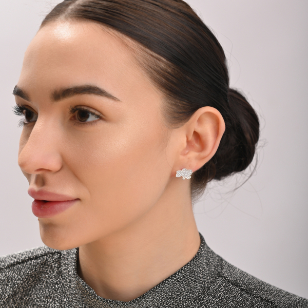 Серебряные пусеты карта Украины (вк22)