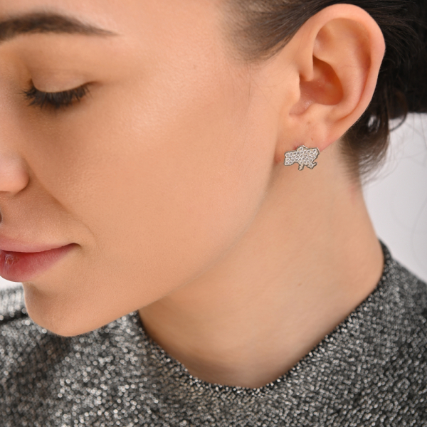 Серебряные пусеты карта Украины (вк22)